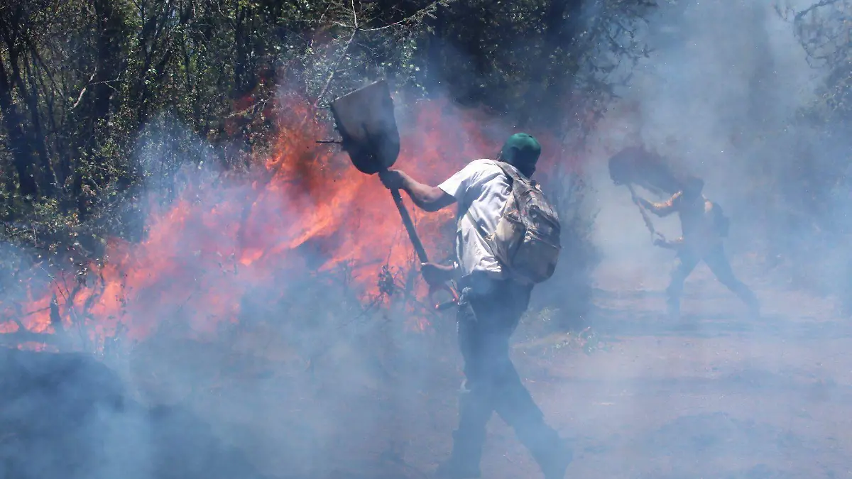 976430_Incendio Bosque de Agua_web